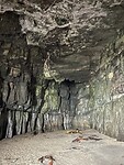 IMG_9003