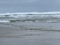 IMG_9012