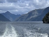 IMG_9046