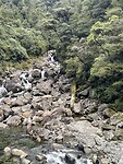 IMG_9040