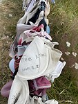 IMG_9170