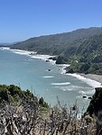 IMG_9255
