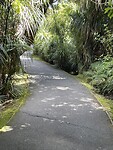 IMG_9253