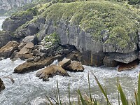 IMG_9252
