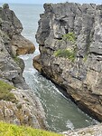 IMG_9249