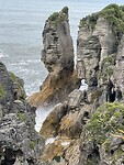IMG_9242