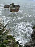 IMG_9237