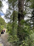 IMG_9281
