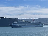 IMG_9317