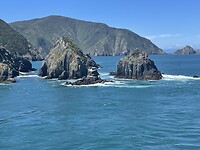 IMG_9314