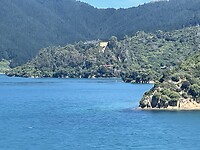 IMG_9305