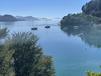 IMG_9301