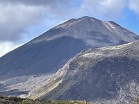 IMG_9351