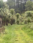 IMG_9459