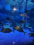 IMG_9492