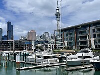 IMG_9508