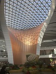 IMG_9521