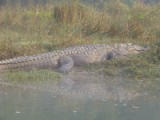 Chitwan - Kano tocht