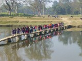 Chitwan