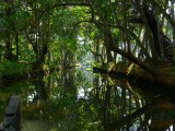 met de kano door de backwaters