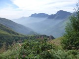 Hill Top Station Munnar