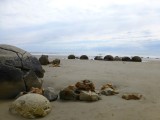 Boulders Beach