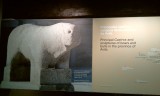 Vettonen museum Avila