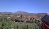 215 miljoen olijfbomen in Spanje