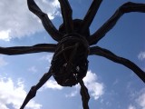 de spin (maman), Guggenheim