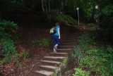 de wandeling begint