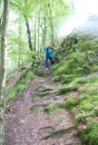 en weer verder door het bos