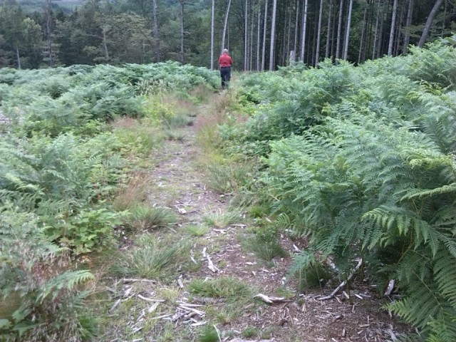 En dan afdalend door naar Chiny
