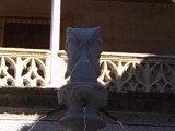 Janus met dubbelhoofd