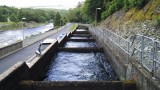 zalmladder Pitlochry, naast de dam