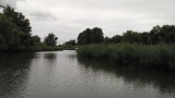 de Biesbosch blijft prachtig