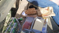 terug naar de vuurtoren om te picknicken