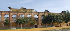 El Portal: oude suikerfabriek vol met ooievaarsnesten