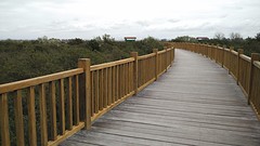 in het natuurpark zijn wandel- / fietspaden aangelegd