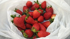 genieten van een pondje aardbeien voor 0,75 €