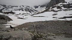 er zijn zelfs een paar mensen met ski's