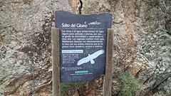 de gierenrots: sprong van de zigeuner
