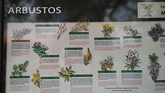 de flora
