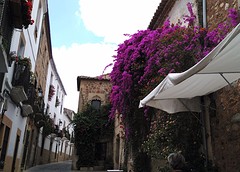 mooie straatjes, hier met bougainville