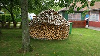 zo wordt hier het hout opgestapeld