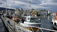 bijkletsen met Susan aan de haven