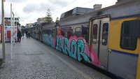 elke 20 min een trein