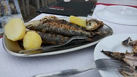 en sardientjes eten