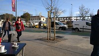 buiten geen taxi's maar tuktuks