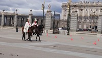 Koninklijk Paleis is vandaag dicht vanwege een officiële bijeenkomst