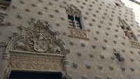 Casa de conchas (jacobsschelpen)